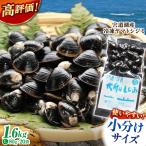 しじみ 宍道湖産 ヤマトシジミ Lサイズ 真空冷凍 80g×20袋
