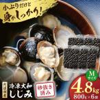 しじみ 砂抜き済 Mサイズ800g×6袋 4.8kg