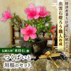 庭園 つくばいセット 来待石灯ろう協同組合