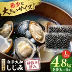 しじみ 砂抜き済 Lサイズ800g×6袋 4.8kg
