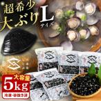 しじみ 地元でも入手困難なレアサイズ 宍道湖産ヤマトシジミ