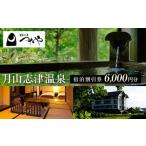 月山志津温泉 変若水の湯 つたや 宿泊割引券 6000円分