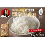 コシヒカリ 白米 精米 5kg