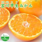 味ロマン約5kg 約50-60個 ー みかん