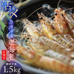 車海老 活き〆急速冷凍 久米島ブランド車海老
