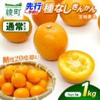 種なし きんかん 宮崎夢丸 1kg