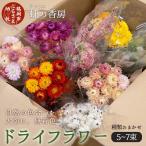 ドライフラワーセット 虹の香房