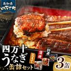 四万十うなぎ 缶詰セット Esu-A77