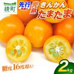 完熟きんかん たまたま 2kg