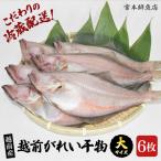 冷蔵直送 干物 熟成の旨味 越前産赤かれい