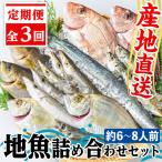 鮮魚ボックス 鮮魚BOX 地魚 詰め合わせ