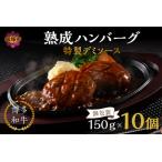 ふるさと納税 【レンジ対応！】博多和牛熟成ハンバーグ／特製デミソース (10個入り)【A4-047】 福岡県飯塚市