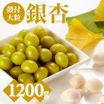 大粒銀杏 殻付き 1 200g