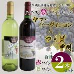 八千代夢ワインシリーズ 夢 赤 つくば甲州