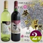 EC-16 八千代夢ワインシリーズ 夢 赤