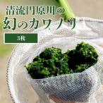 清流円原川のカワノリ 一定条件下の源流でしか採取できない…