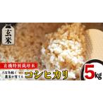 三百年 続く 農家の有機特別栽培米 コシヒカリ