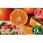 セミノール 果物 くだものフルーツ わけあり
