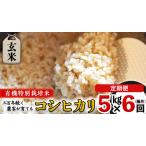 令和6年産 玄米 5kg×6回