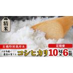 令和6年産 精米 10kg×6回