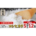 令和6年産 精米 5kg×12回