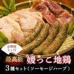 定期便 3回 最高級 ブランド 地鶏 媛っこ地鶏