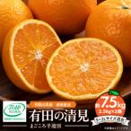 みかん 柑橘類 2027年 有田の清見 7.5kg