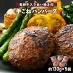 ハンバーグ 若狭牛入 5個セット 計650g