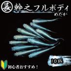 幹之フルボディ 10匹