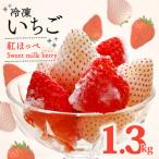 苺 紅白 冷凍いちご 1.3kg