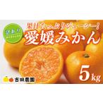 ふるさと納税 【高評価★4.8】 先行予約 訳あり 愛媛みかん 5kg 10000円 愛媛 みかん 温州みかん こたつ みかん mikan 蜜柑 ミカン 家庭用 産地.. 愛媛県愛南町