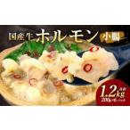 牛ホルモン 小腸 200g×6パック