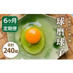 球磨球子 40個入×6回 鶏卵 卵 玉子 たまご