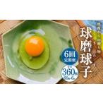 球磨球子 60個入