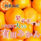 大きな有田みかん1kg+250g