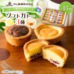 中山製菓のソフトガトー15個入_菓子