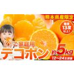 デコポン 約5kg