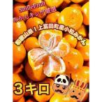 和歌山有田みかん約3kg S~Lサイズ混合