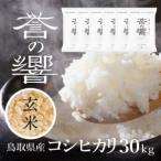 玄米 30kg