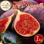 特別栽培 ビオレソリエス 黒イチジク _特別栽培