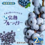 無農薬栽培 冷凍完熟ブルーベリー2kg