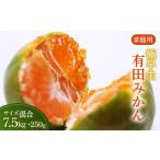 厳選 せとか7.5kg+250g 傷み補償分