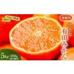 小玉な有田みかん5kg+250g