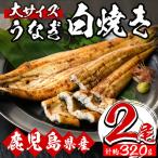 うなぎ白焼 2尾