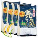産ブランド米 元気つくし 白米 20kg