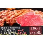 飛騨牛 ロースステーキ ブランド牛