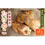 fu.... налог [. мир 8 год производство предшествующий предварительный заказ ] красный земля побеги бамбука примерно 1kg Echizen блок Miyazaki район производство .. длина . прямая поставка от производителя . доставка![2026 год 4 месяц средний ... последовательный отправка предположительно ].. Fukui префектура Echizen блок 