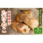 fu.... налог [. мир 8 год производство предшествующий предварительный заказ ] красный земля побеги бамбука примерно 2kg Echizen блок Miyazaki район производство .. длина . прямая поставка от производителя . доставка![2026 год 4 месяц средний ... последовательный отправка предположительно ].. Fukui префектура Echizen блок 