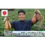 種子島 安納いも 平山農園 紅 こがね 紅白セット