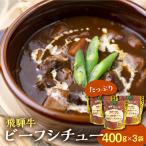飛騨牛ビーフシチュー 400g×3袋